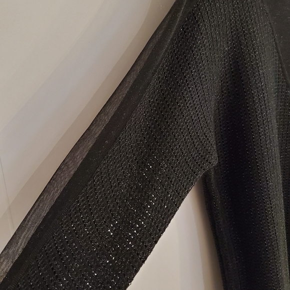 Tinsel Thread Sweater with Sheer Panels - Picture 8 of 8